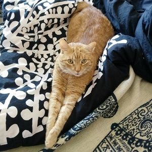 Meet your Posher, Elizabeth